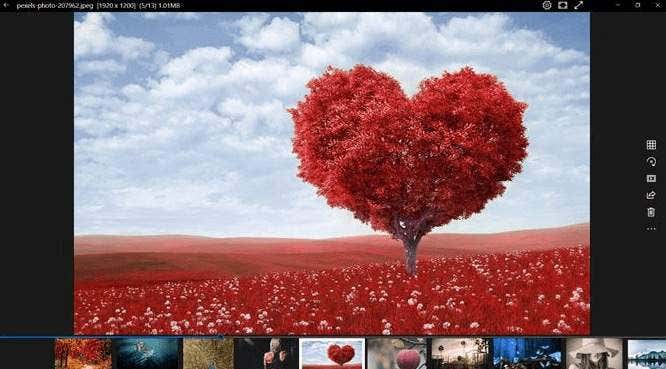 The Best Photo Viewer for Windows 10: 8 Apps Compared image 4