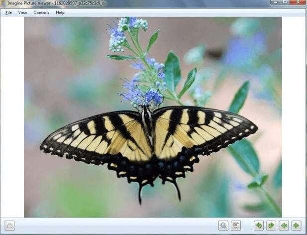 The Best Photo Viewer for Windows 10: 8 Apps Compared image 7