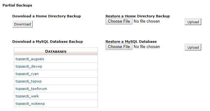 How To Backup Your WordPress Site image 2